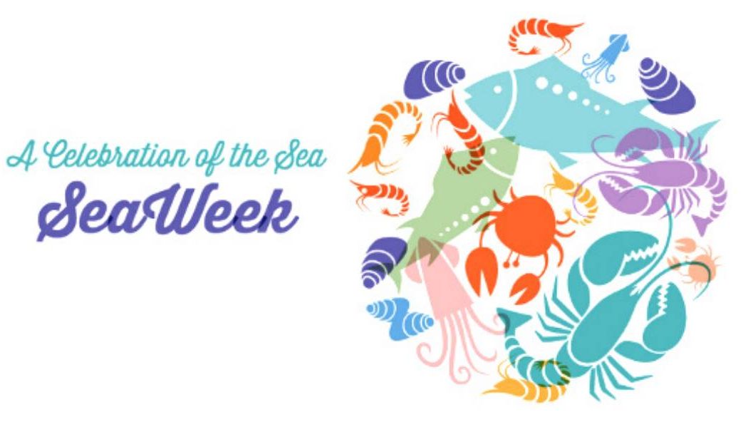 Seaweek banner